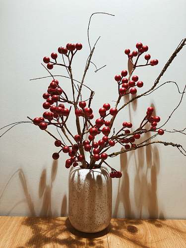 flower arrangement red fruits in vase ornament